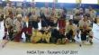 CUP 2011